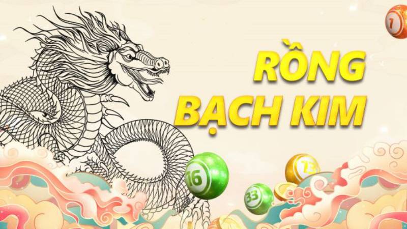Soi cầu rồng Bạch Kim là gì?