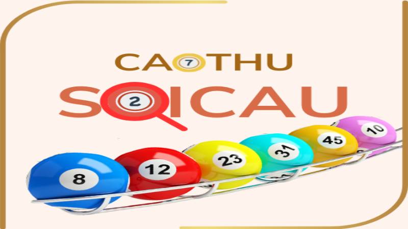 Những cách để trở thành cao thủ bắt cầu