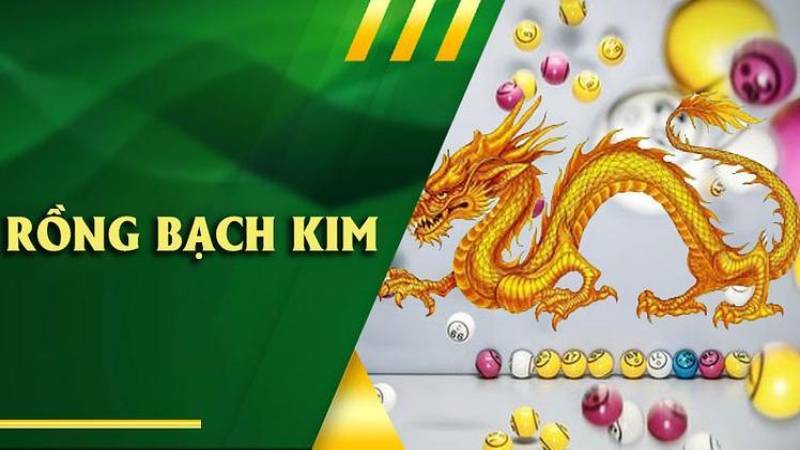 Lý do anh em nên tham gia săn cầu Rồng Bạch Kim