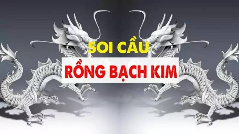 Nuôi lô khung 2 ngày